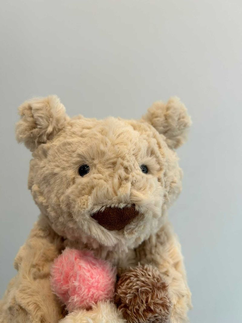 Oatus Bear with Ice Cream us