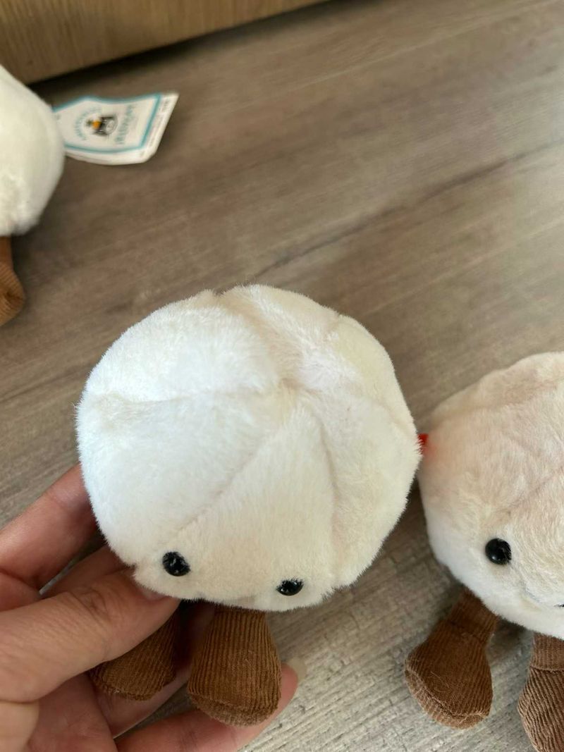 Yum & Sum Dumplings CN