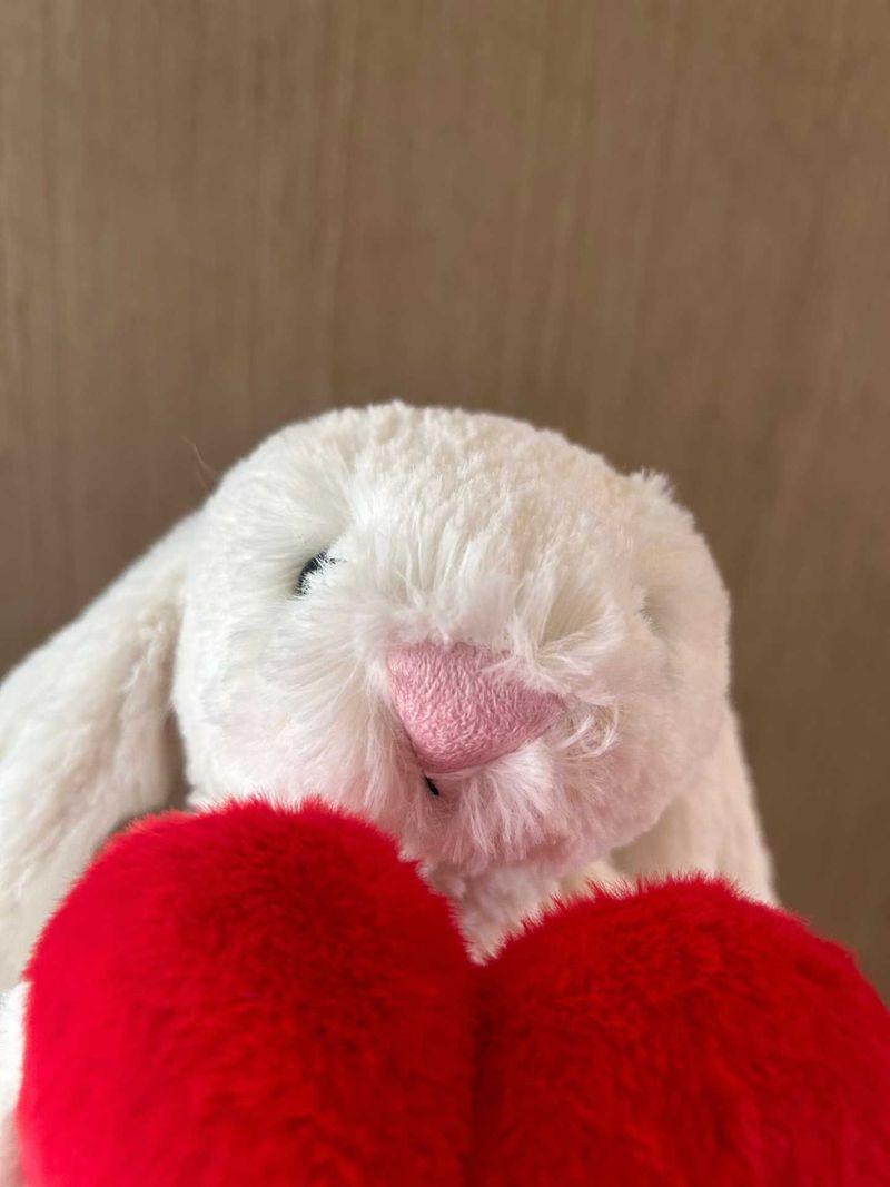Bashful Red Love Heart Bunny