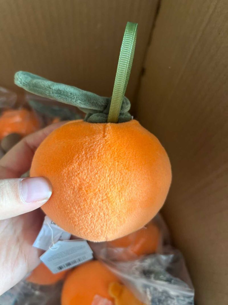 Fabulous Fruit Orange
