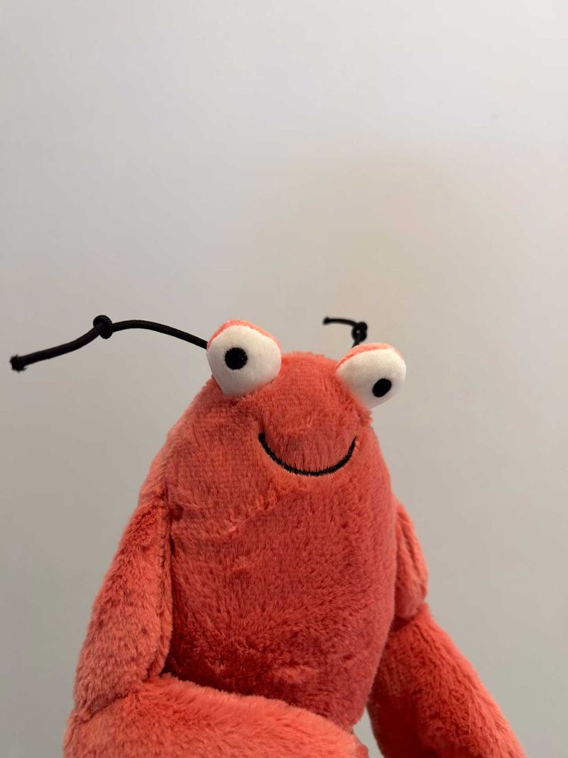 Larry Lobster - Large & Medium