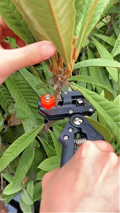 Grafting Tool Kit for Trees and Plants, Pruning Grafting Machine, Bud Grafting Knife, Branch Clippers, Essential Gardening Tools