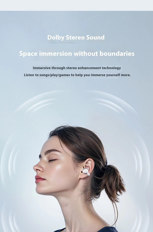 Q10 Smart Translation Double-Yolk Bluetooth