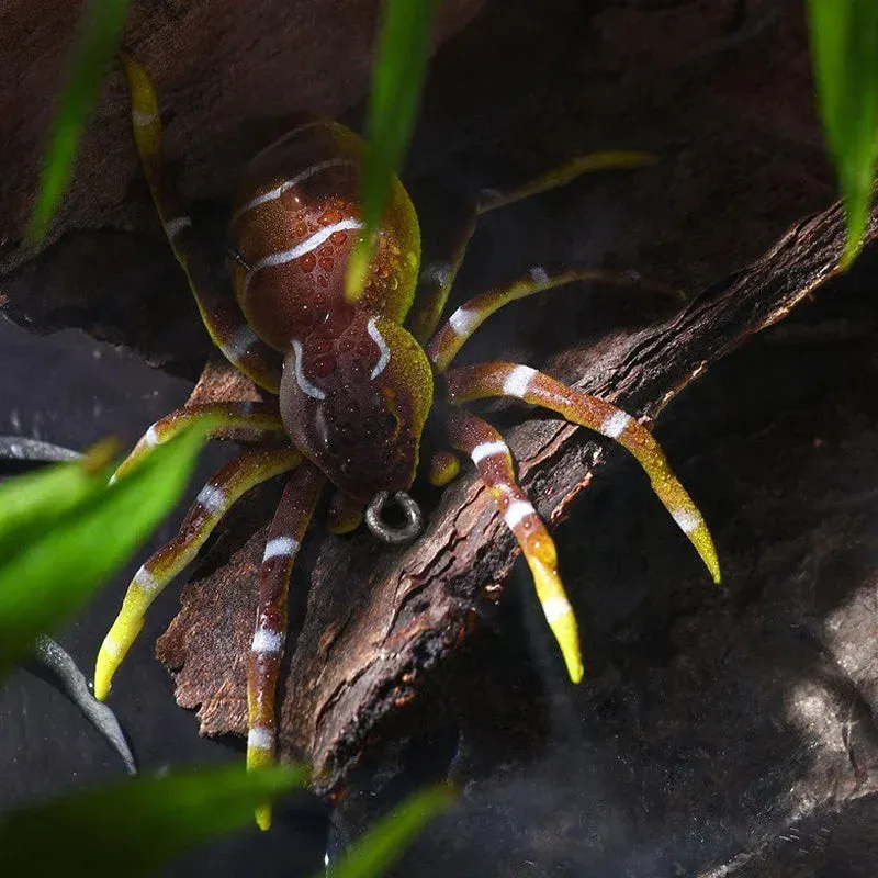 🐠Spider Soft Lure Fishing Lures