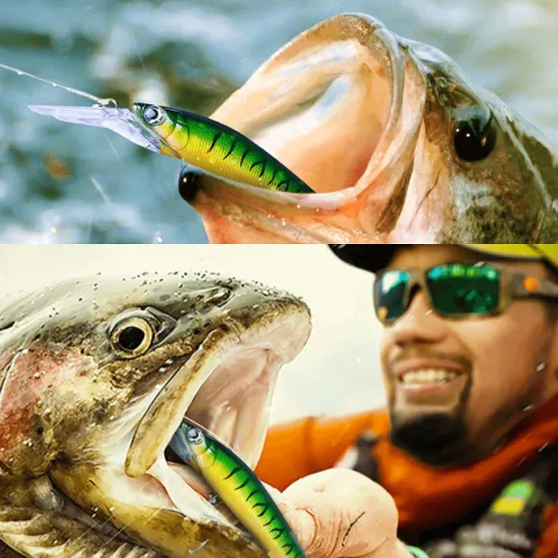 Perfect Freshwater Lure For Murky & Muddy Waters