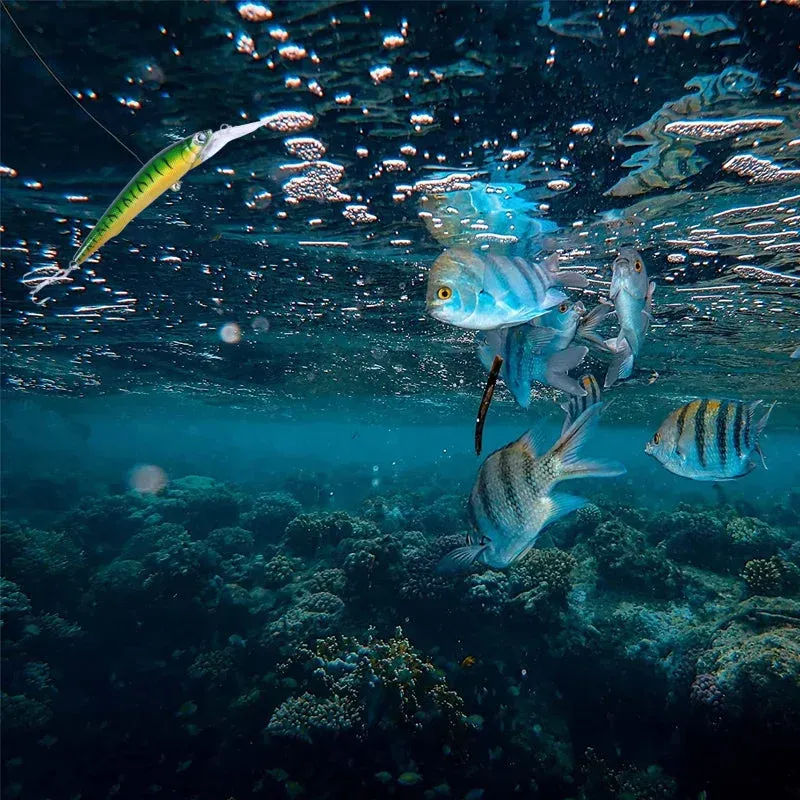 Perfect Freshwater Lure For Murky & Muddy Waters