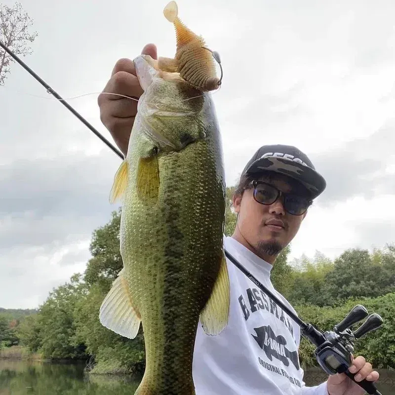 Bellows Gill Soft Lure Worm Fishing Lure