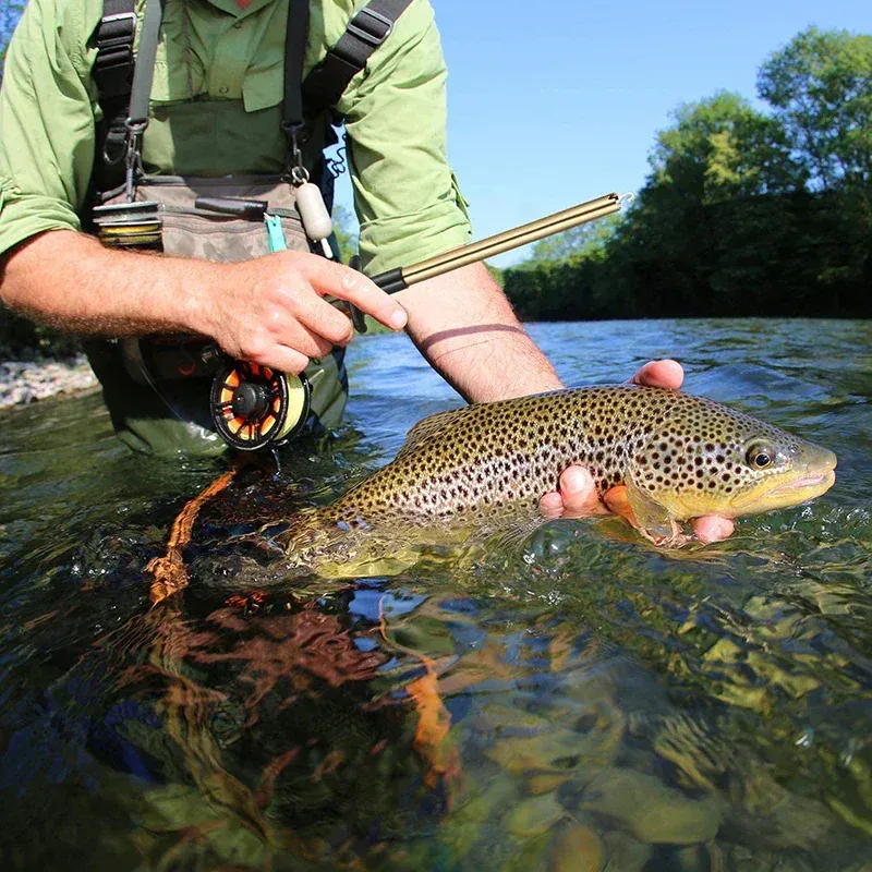 🔥Limited time promorion-50% OFF🔥Easy Fish Hook Removers