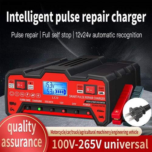 Pro Smart Pulse Battery Repair Charger