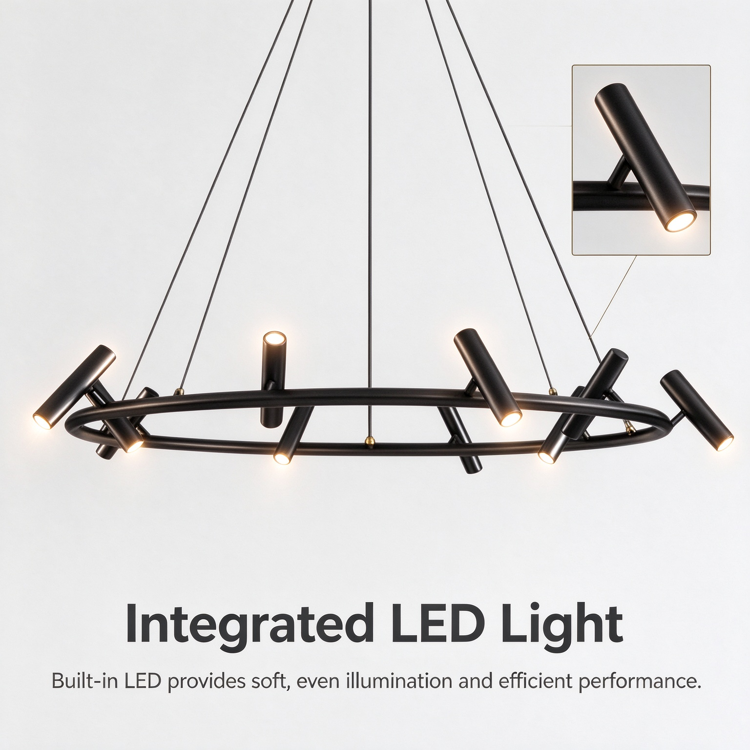 Integrated LED Light