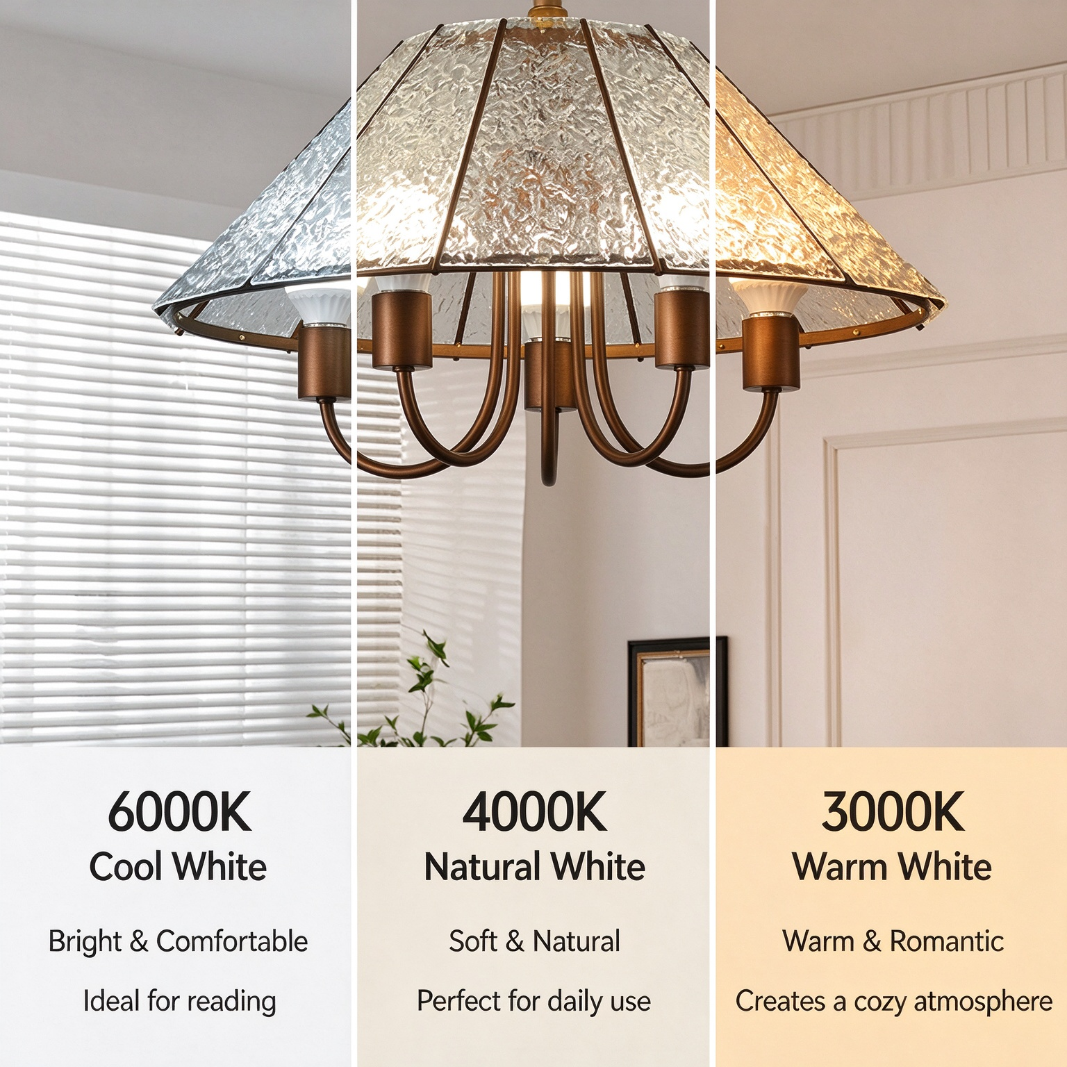 3 Light Color Options