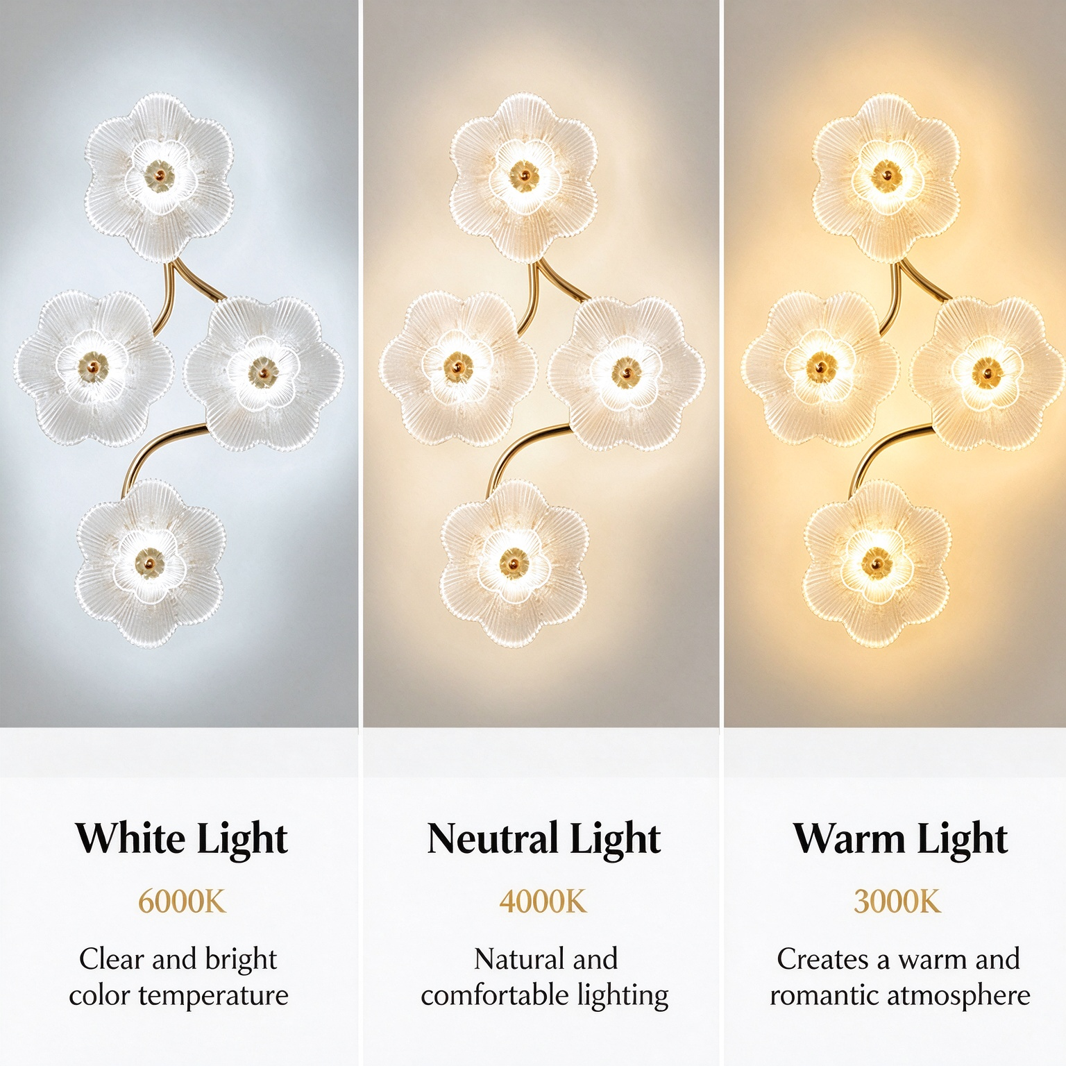 Bulbs & Voltage