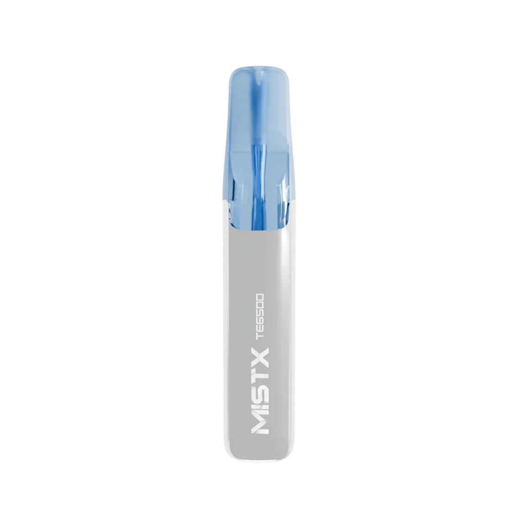 MIST X鴨嘴獸6500口一次性拋棄式電子煙台灣現貨 ILIA