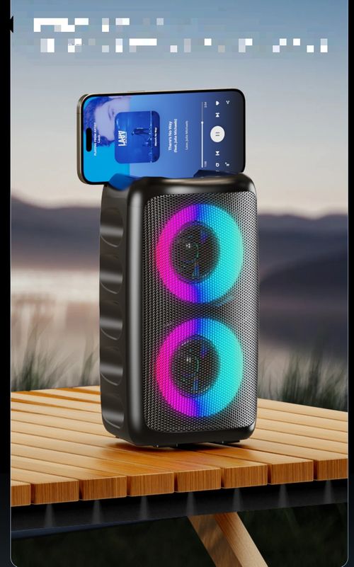 Wireless speaker with subwoofer