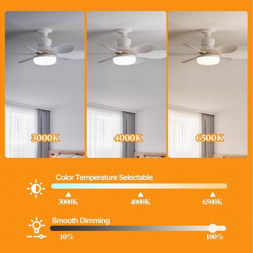 Remote-Controlled Dimmable Ceiling Fan Light