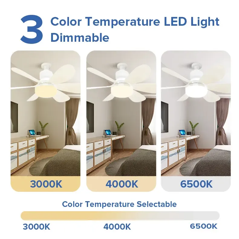 Remote-Controlled Dimmable Ceiling Fan Light