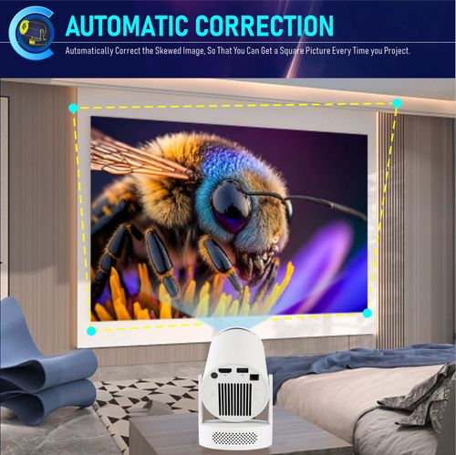 Projector