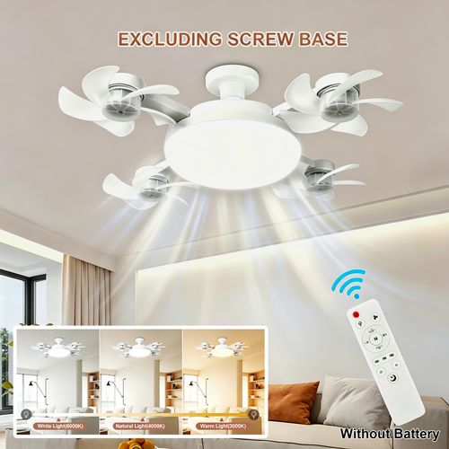 Fan Light