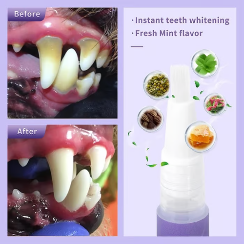 🌈 Pet Oral Repair Gel 🌈Buy 1 Get 1 Free (2Pcs)