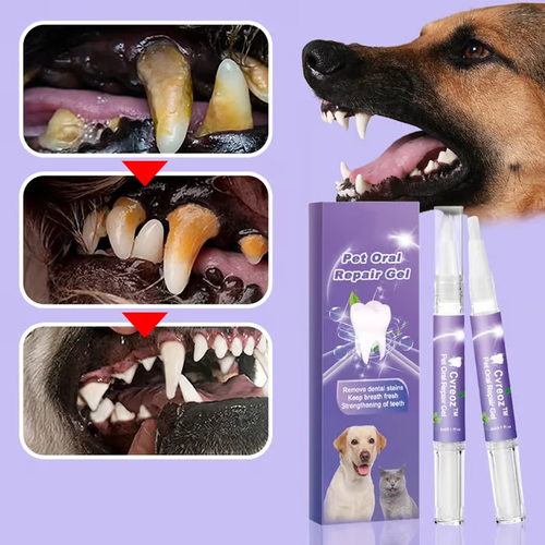 🌈 Pet Oral Repair Gel 🌈Buy 1 Get 1 Free (2Pcs)