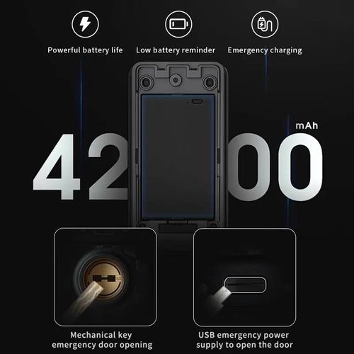 Smart Home Graffiti Aluminum‑Faced Digital Fingerprint Automatic Biometric Lock