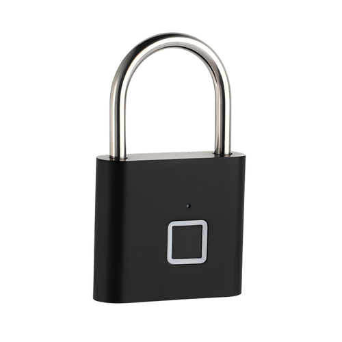 Portable anti-theft padlock
