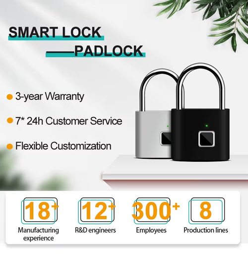Portable anti-theft padlock