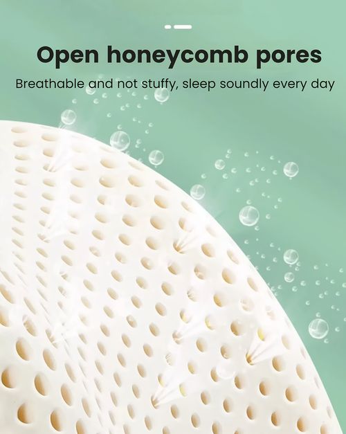 Natural Latex Pillow