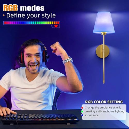 Single pack Rechargeable LED indoor light with 7 adjustable colors.Includes RGB bulbs and remote control