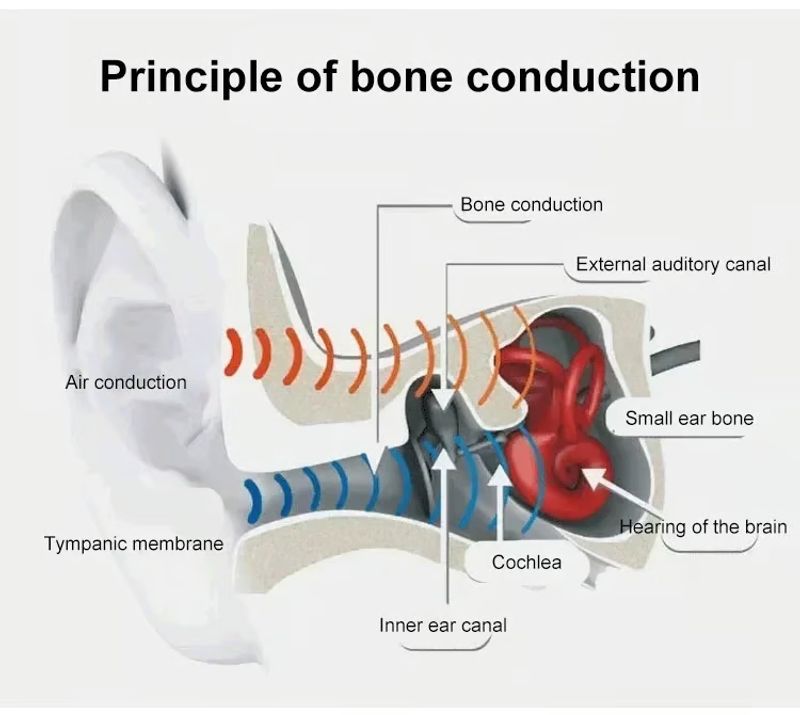 TWS wireless bone conduction digital Bluetooth earbuds