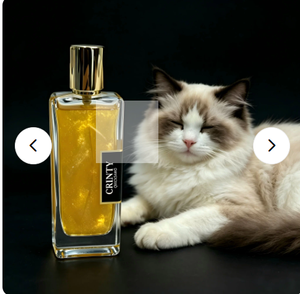 productThumbnail