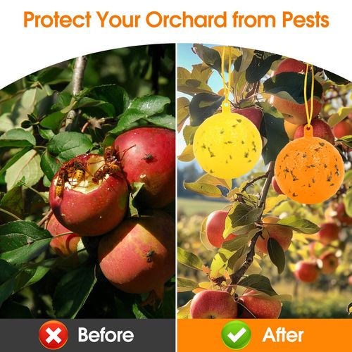 Original Fruit Fly Trap Ball with Light, 6pcs Hanging Fungus Gnat Killer Catcher, Adhesive Sticky Glue Catching Ball Fly Gnat Wasp Hornet Bugs Flying Insects Trap Ball for Indoor Outdoor Plant