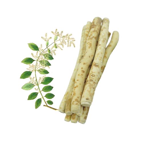 Natural Miswak Toothbrush Set, Teeth Cleaning Stick for Healthy Gums and Freshing Breath, Portable Natural Root Stick, Traditional Hand-Made Oral Care for Travel