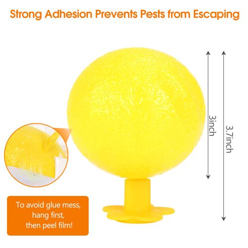 Original Fruit Fly Trap Ball with Light, 6pcs Hanging Fungus Gnat Killer Catcher, Adhesive Sticky Glue Catching Ball Fly Gnat Wasp Hornet Bugs Flying Insects Trap Ball for Indoor Outdoor Plant