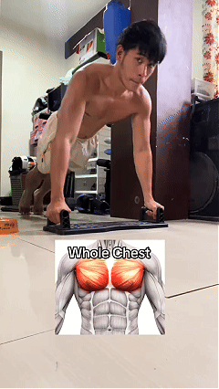 Solid Push Up Board 15 in 1 Home Workout Equipment Multi-Functional Pushup Stands System Fitness Floor Chest Muscle Exercise Professional Equipment Burn Fat