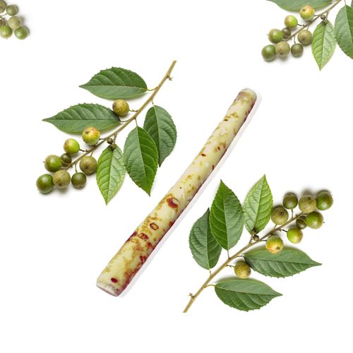 Natural Miswak Toothbrush Set, Teeth Cleaning Stick for Healthy Gums and Freshing Breath, Portable Natural Root Stick, Traditional Hand-Made Oral Care for Travel
