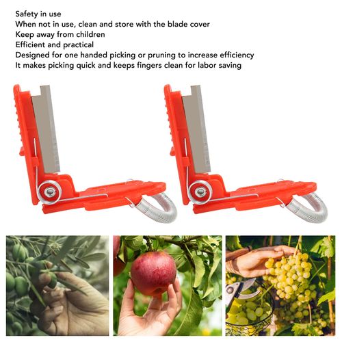 10pcs Garden Thumb Picking Knife Set ,Stainless Steel Blades, Use 30% Faster Picking, Without Bruising Produce, for Fruit Vegetable Harvesting Farm