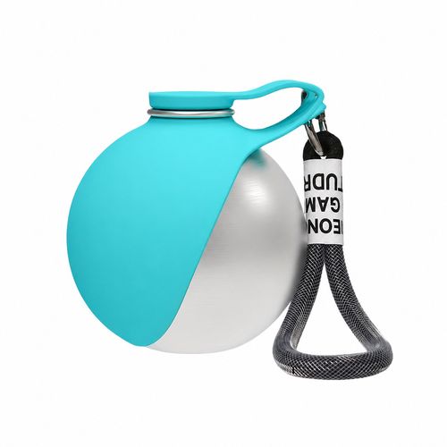 2-in-1 Stainless Steel Pet Travel Water Bottle