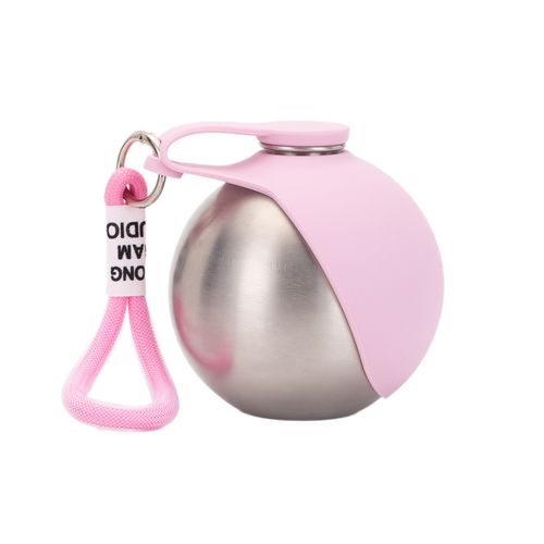 2-in-1 Stainless Steel Pet Travel Water Bottle