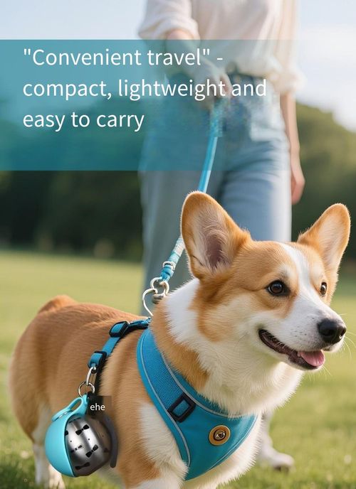 2-in-1 Stainless Steel Pet Travel Water Bottle
