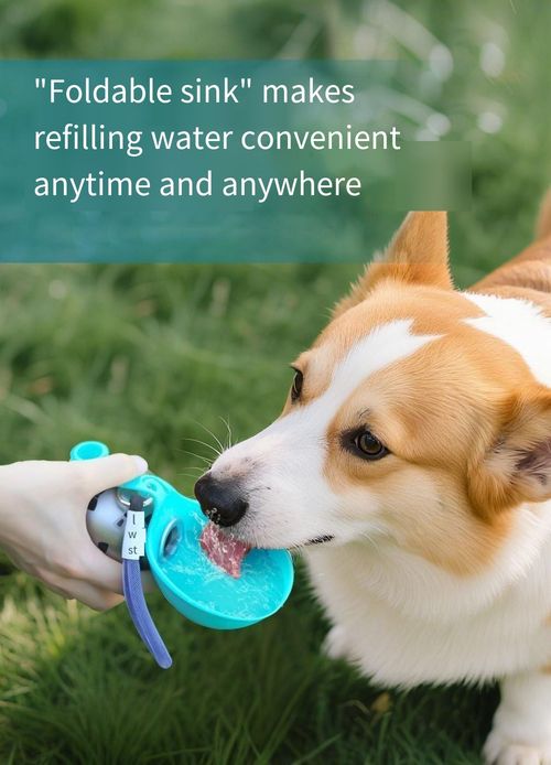 2-in-1 Stainless Steel Pet Travel Water Bottle