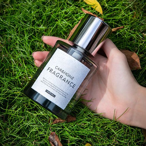 Smart Ultrasonic Car Freshener