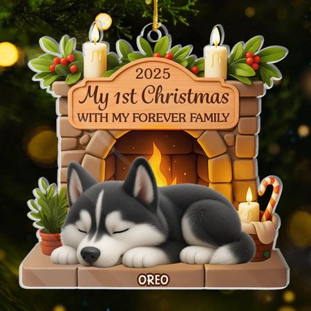 Personalized First Christmas Ornament – Custom Dog Family Decoration for 2025