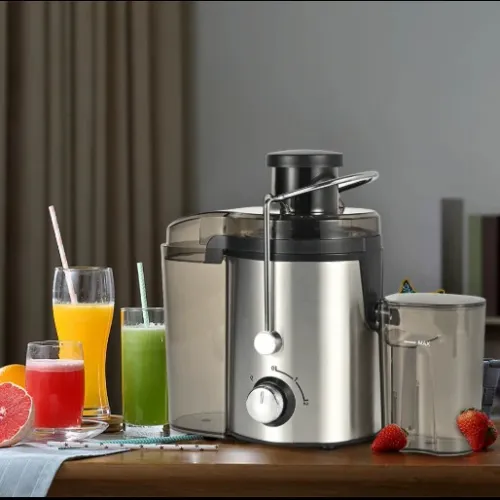 Fruit and vegetable juicer