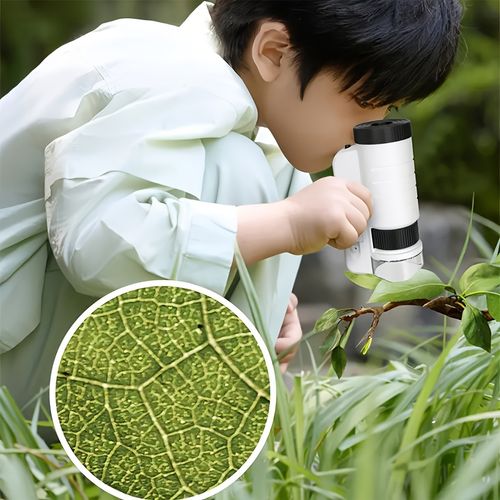 Portable Microscope for Children