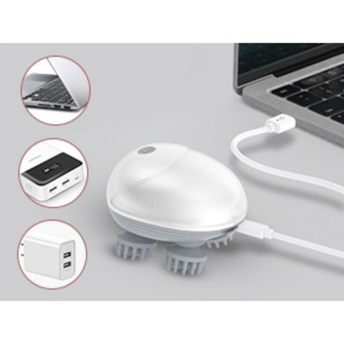 Pet Massager