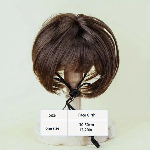 Pet wigs