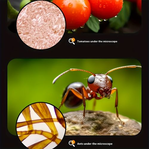 Portable Microscope for Children