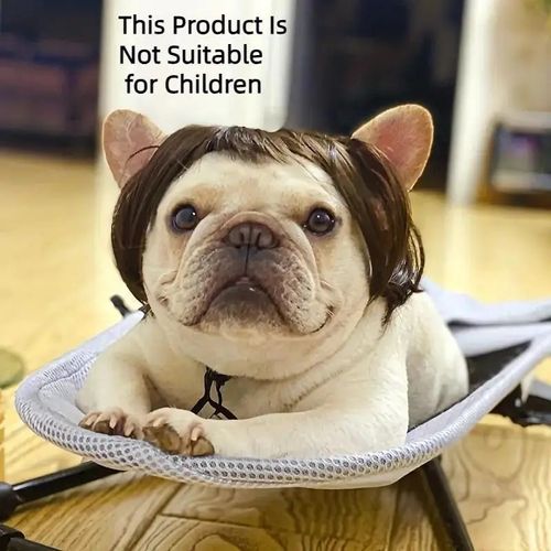 Pet wigs