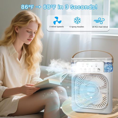 Misting Humidifying Fan